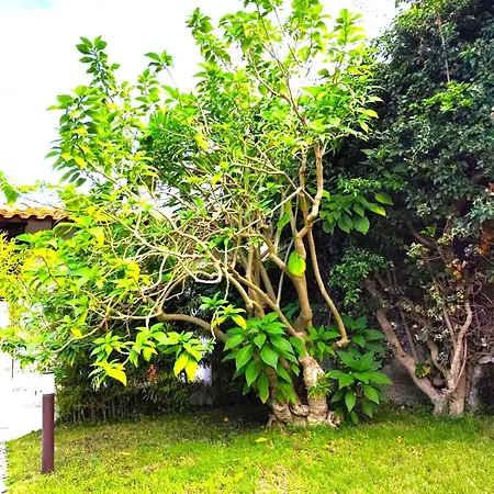 Il Poggio Holiday home