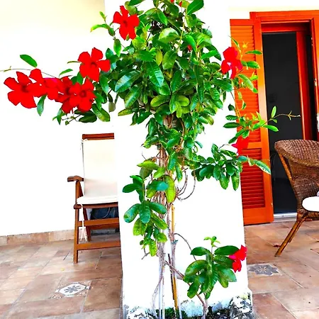 Holiday home Il Poggio Ischia